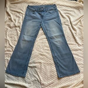 American Eagle Outfitters Favorite Boyfriend Jeans 10 Short